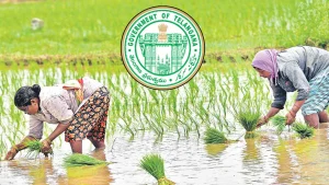 Subsidized seeds for Telangana farmers