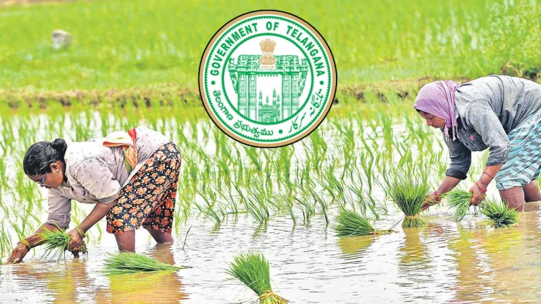 Subsidized seeds for Telangana farmers