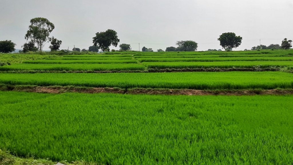 అర్నబ్ తుఫాన్ బీభత్సం: ఏపీలో రూ.4,563 కోట్ల నష్టం